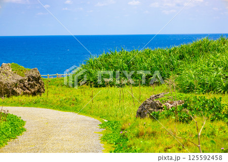 宮古島の有名観光地で南国バカンス・東平安名埼の崖や道から覗く青い海と津波石・津波岩（沖縄県宮古島市） 125592458