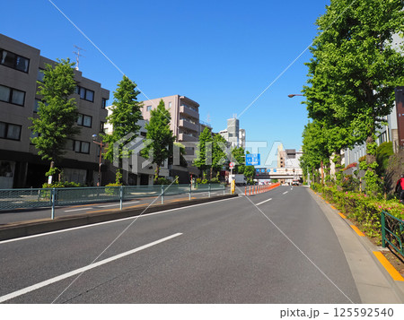 目黒通り。都立大学駅前の道路風景。 目黒通り。都立大学駅前の道路風景。 125592540