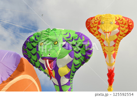 Kite festival. Kites in the sky in a Dieppe Kite festival. Kites in the sky in a Dieppe 125592554