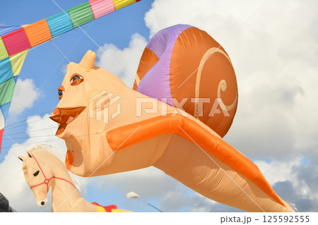 Kite festival. Kites in the sky in a Dieppe 125592555