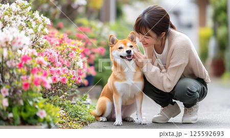 花咲く小道で柴犬と微笑み合う 花咲く小道で柴犬と微笑み合う 125592693