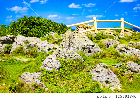 宮古島の有名観光地で南国バカンス・東平安名埼の崖や道から覗く青い海と穴が開いた石灰岩（沖縄県宮古島市 125592846