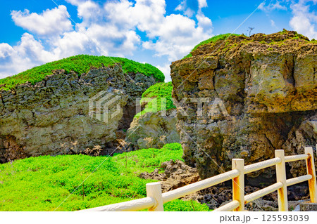 宮古島の有名観光地で南国バカンス・東平安名埼岬の太古と歴史を感じる雄大な自然の石灰岩（沖縄県宮古島市 125593039