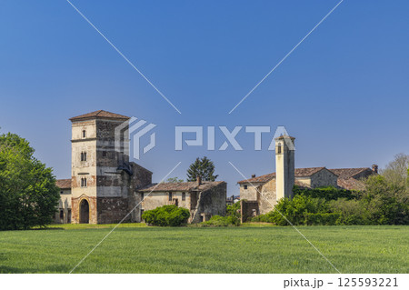 Abandoned rural building dominating green wheat field in Pojana Maggiore, Veneto, Italy 125593221