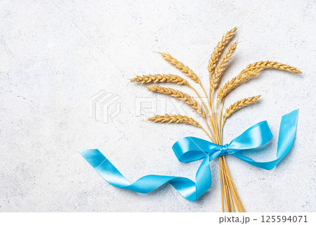 Wheat crops with blue ribbon. Shavuot concept. 125594071