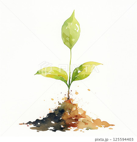 Young plant sprouting from soil in a garden, symbolizing growth and nature's renewal 125594403