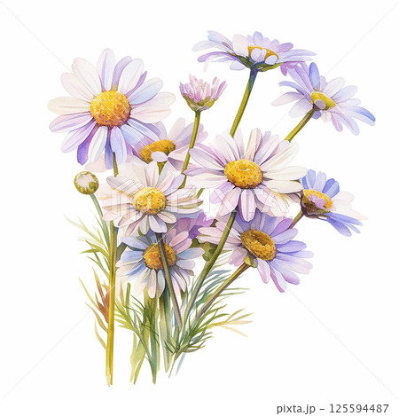 Beautiful arrangement of daisies in a soft watercolor style capturing their delicate features and vibrant colors Beautiful arrangement of daisies in a soft watercolor style capturing their delicate features and vibrant colors 125594487