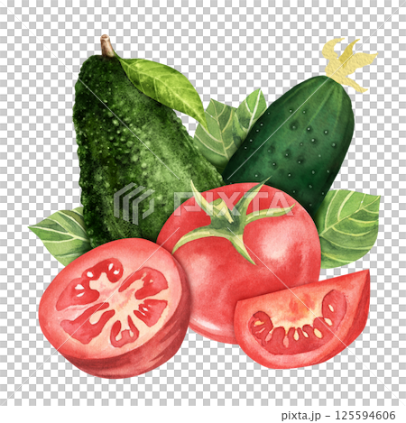 Fresh vegetables. Tomato with cucumber, avocado and greenery. Hand drawn watercolor illustration, isolated on white background. For restaurant, market, kitchen , decoration, stickers, books Fresh vegetables. Tomato with cucumber, avocado and greenery. Hand drawn watercolor illustration, isolated on white background. For restaurant, market, kitchen , decoration, stickers, books 125594606