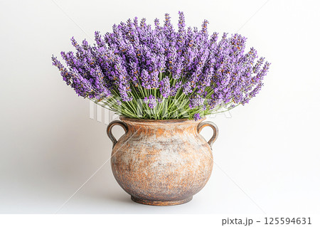 Ceramic vase in antique style with lavender plant with purple flowers on a white background Ceramic vase in antique style with lavender plant with purple flowers on a white background 125594631