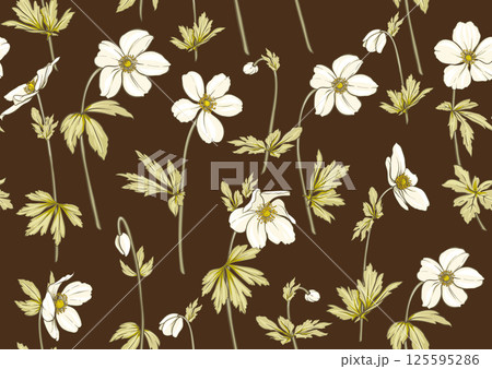 Forest Anemone flowers, decorative flowers  125595286