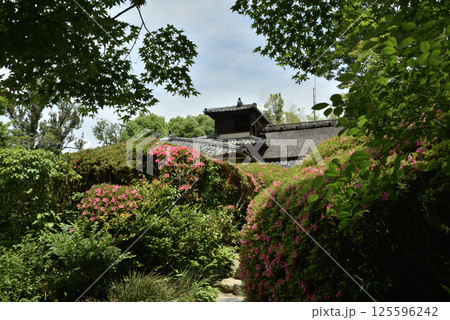 春の詩仙堂　サツキの頃の庭園(京都市左京区) 125596242