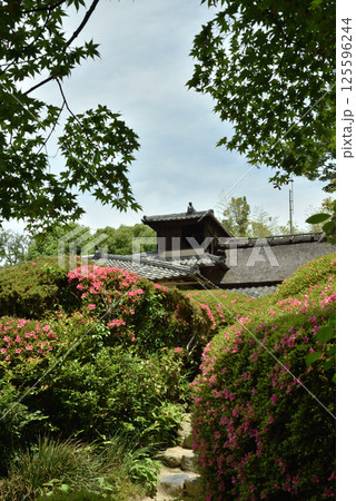 春の詩仙堂 サツキの頃の庭園(京都市左京区) 春の詩仙堂 サツキの頃の庭園(京都市左京区) 125596244