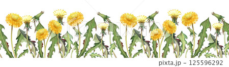 Seamless watercolor border with dandelions on a white background. Watercolor illustration with flowers, leaves and buds of a wildflower. Summer theme. 125596292