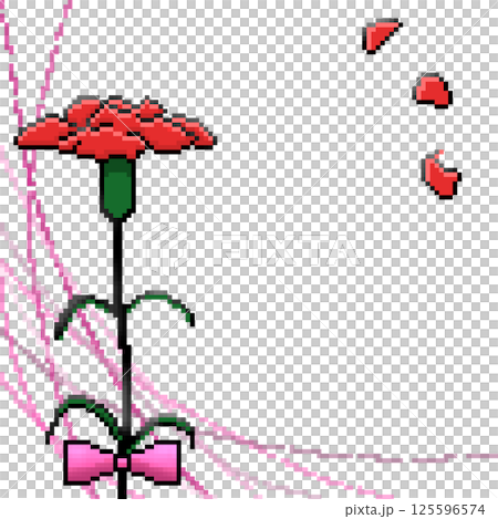 カーネーション 125596574