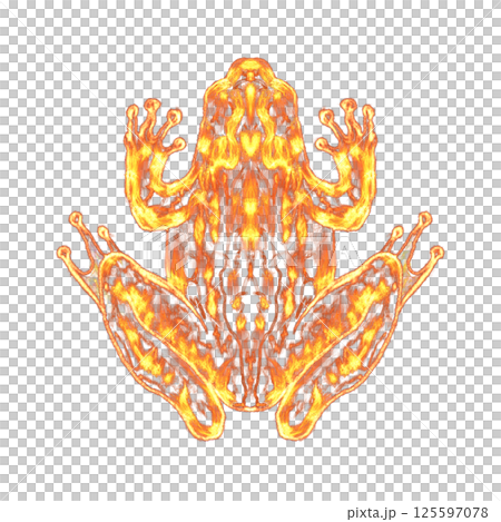 Glowing transparent fire or orange frog, neon glow shining. Abstract effect bright light. Digital art technology with blurry. Png 125597078