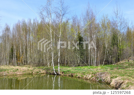 Landscape in early spring with melt water. Russia 125597268