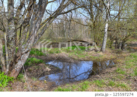 Landscape in early spring with melt water. Russia Landscape in early spring with melt water. Russia 125597274