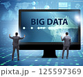 Big data concept with data mining analyst 125597369