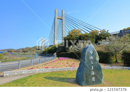 【愛媛県】生名橋記念公園から見た生名橋（ゆめしま海道） 125597376