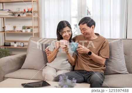 Elderly Couple Collaborating on Family Financial Planning at Home with Laptops and Documents 125597488