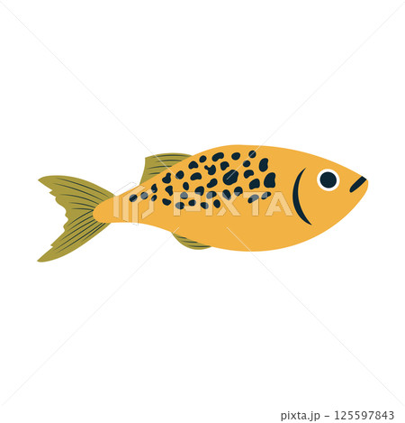 Atlantic fish flat in flat design. Wildlife tuna or salmon, seafood menu. Vector illustration isolated. Atlantic fish flat in flat design. Wildlife tuna or salmon, seafood menu. Vector illustration isolated. 125597843