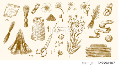 Hand drawn Linen seed and Flax flower. Vector clipart illustration. Line and Ink sketch. Hand drawn Hand drawn Linen seed and Flax flower. Vector clipart illustration. Line and Ink sketch. Hand drawn 125598407