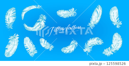 Feathers on white background. Hand drawn black fluffy feathers. Line and Ink sketch. Vintage style 125598526