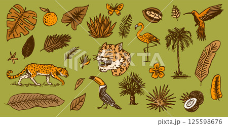 Japanese leopard or jaguar with tropical leaves, toucan, flamingo, hummingbird. Wild animal with 125598676
