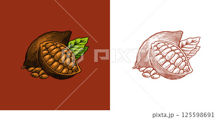 Cocoa Beans and Chocolate for t-shirts, typography, shop or signboards. Hand Drawn engraved sketch 125598691