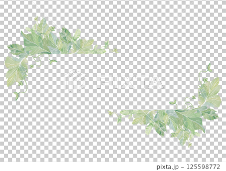 Foliage frame. Watercolor clipart illustration of two natural corner frames on white background. For invitations, postcards, business cards. Decorating cups, dishes, other printed materials or web. 125598772