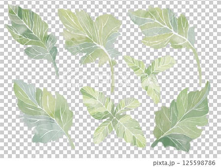 Set of seven green leaves. Fresh watercolor illustration on white background. Abstract clip art for postcards, business cards, invitations. Printing on tableware, covers, product packaging, etc. Set of seven green leaves. Fresh watercolor illustration on white background. Abstract clip art for postcards, business cards, invitations. Printing on tableware, covers, product packaging, etc. 125598786