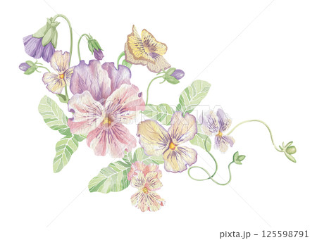 Violets flowers. Watercolor clipart illustration of abstract flower composition on white background. For invitations, postcards, business cards. Decorating cups, dishes, other printed materials. Violets flowers. Watercolor clipart illustration of abstract flower composition on white background. For invitations, postcards, business cards. Decorating cups, dishes, other printed materials. 125598791