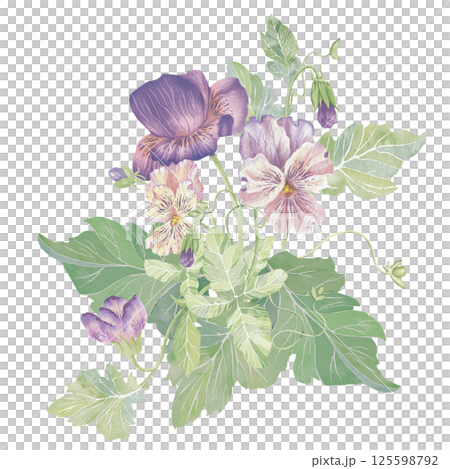 Violets flowers. Watercolor clipart illustration of lush flower composition, isolated on white background. For invitations, postcards, business cards. Decorating cups, dishes, other printed materials. 125598792