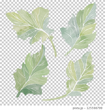 Set of four green leafs. Fresh watercolor illustration on white background. Abstract clip art for postcards, business cards, invitations. Printing on tableware, covers, product packaging, etc. Set of four green leafs. Fresh watercolor illustration on white background. Abstract clip art for postcards, business cards, invitations. Printing on tableware, covers, product packaging, etc. 125598799