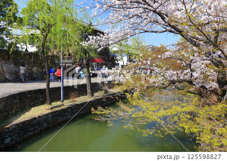 【岡山県】桜咲く春の倉敷美観地区(重要伝統的建造物群保存地区) 【岡山県】桜咲く春の倉敷美観地区(重要伝統的建造物群保存地区) 125598827