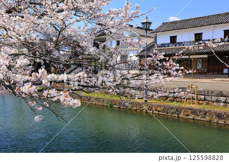 【岡山県】桜咲く春の倉敷美観地区（重要伝統的建造物群保存地区） 125598828