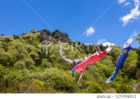 道の駅霊山たけやま 鯉のぼり 道の駅霊山たけやま 鯉のぼり 125599011