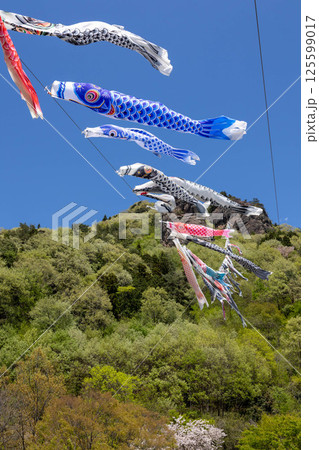 道の駅霊山たけやま 鯉のぼり 道の駅霊山たけやま 鯉のぼり 125599017
