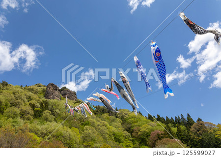 道の駅霊山たけやま 鯉のぼり 道の駅霊山たけやま 鯉のぼり 125599027