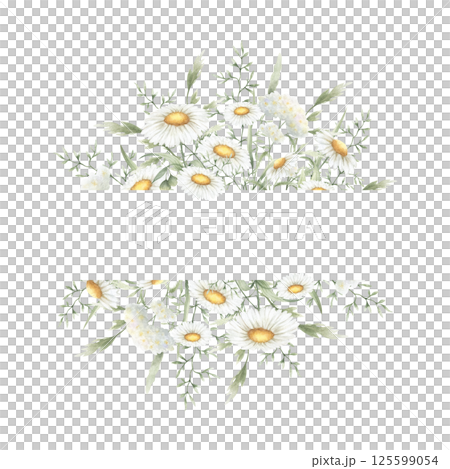 Wildflowers chamomile, yarrow and meadow grasses. Hand drawn isolated watercolor square frame of yellow and white field vintage flowers with copy space for invitations, postcards, certificates, cards 125599054