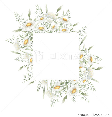 Wildflowers chamomile, yarrow and meadow grasses. Hand drawn isolated watercolor square frame of yellow and white field rustic flowers with copy space for wedding invitations, postcards and cards Wildflowers chamomile, yarrow and meadow grasses. Hand drawn isolated watercolor square frame of yellow and white field rustic flowers with copy space for wedding invitations, postcards and cards 125599287