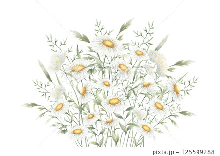 Bouquet floral of watercolor wildflowers chamomile, yarrow and meadow grasses isolated from background. Hand drawn illustration of yellow and white flowers for fabric print, packaging and postcard Bouquet floral of watercolor wildflowers chamomile, yarrow and meadow grasses isolated from background. Hand drawn illustration of yellow and white flowers for fabric print, packaging and postcard 125599288