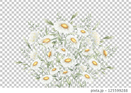 Bouquet floral of watercolor wildflowers chamomile, yarrow and meadow grasses isolated from background. Hand drawn illustration of yellow and white flowers for fabric print, packaging and postcard Bouquet floral of watercolor wildflowers chamomile, yarrow and meadow grasses isolated from background. Hand drawn illustration of yellow and white flowers for fabric print, packaging and postcard 125599288