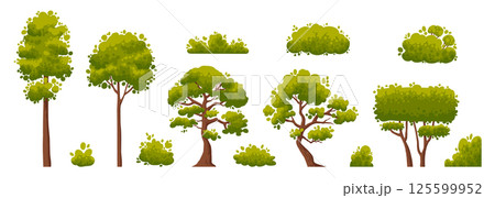 Cartoon trees and bushes. Green plants with flowers for vegetation spring backyard landscape wood plant foliage. Nature forest lumber tree park and garden hedge bush vector isolated icon set Cartoon trees and bushes. Green plants with flowers for vegetation spring backyard landscape wood plant foliage. Nature forest lumber tree park and garden hedge bush vector isolated icon set 125599952