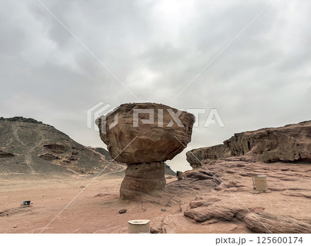 Stone mushroom in Timna Park in the Arava desert 125600174