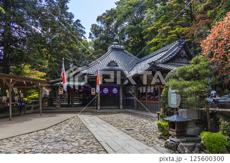 立木観音 125600300