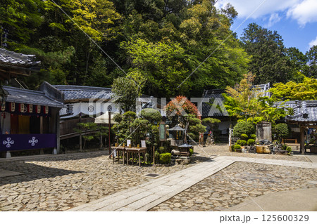 立木観音 立木観音 125600329