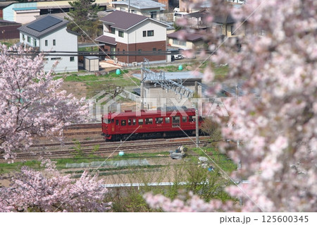 満開の桜の中を駆け抜けるしなの鉄道115系ろくもん号_2025/4/19撮 満開の桜の中を駆け抜けるしなの鉄道115系ろくもん号_2025/4/19撮 125600345