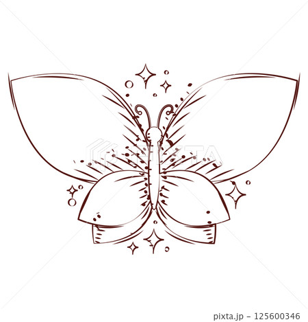 Butterfly line art style. Vector Butterfly line art style. Vector 125600346