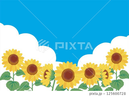 夏　ひまわり　空　風景　向日葵　ヒマワリ　フレーム　テンプレート　デザイン　背景　壁紙　イラスト素材 125600728